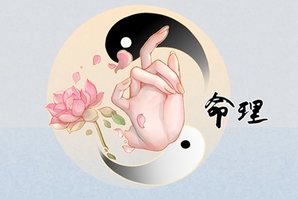 元亨紫薇命盘排盘|紫微命盘八字排盘|紫微盘排盘免费|易百查紫微排盘|八字桃花命盘查询