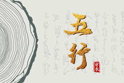 新浪紫微命盘 命盘详细解释 明星紫微斗数命盘 紫微测名 本命盘解析 元亨紫微排盘系统